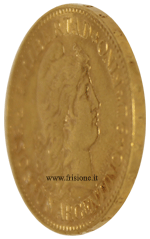 Argentina profilo del 5 pesos oro Argentina profilo del 5 pesos oro