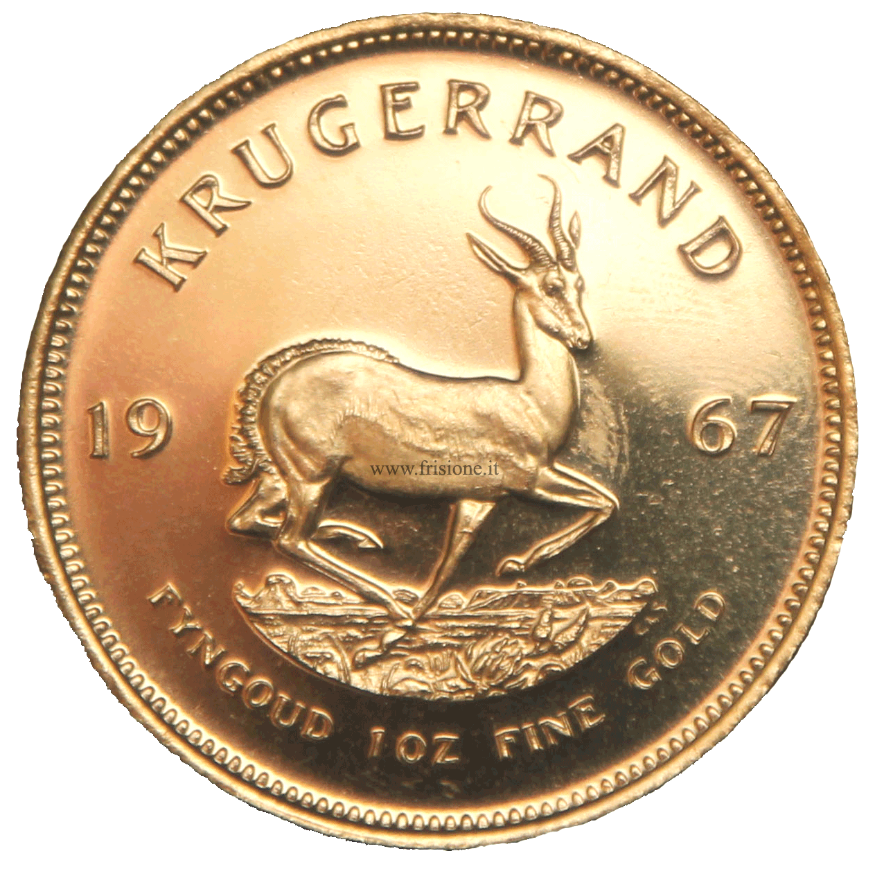 krugerrand rovescio
